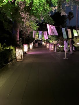 江の島シーキャンドルに投稿された画像（2025/8/16）