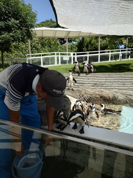 マリンワールド海の中道に投稿された画像（2025/8/16）