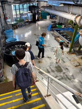 沖縄美ら海水族館（館内体験）に投稿された画像（2025/8/16）