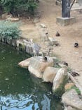 天王寺動物園に投稿された画像（2025/8/17）