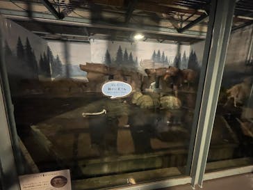 天王寺動物園に投稿された画像（2025/8/16）