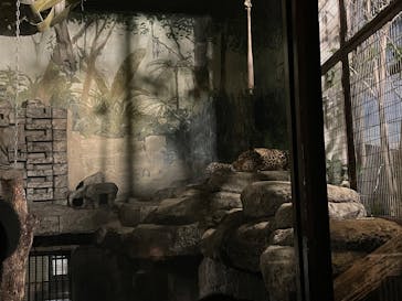 天王寺動物園に投稿された画像（2025/8/16）