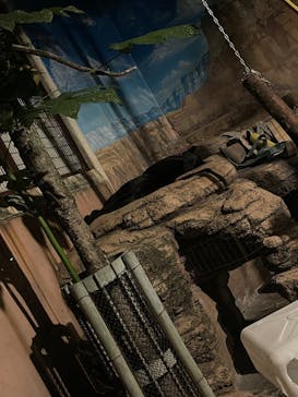 天王寺動物園に投稿された画像（2025/8/16）