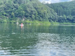 fortysixAQUA（フォーティーシックスアクア）に投稿された画像（2025/8/17）