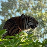 名古屋市東山動植物園に投稿された画像（2025/8/17）