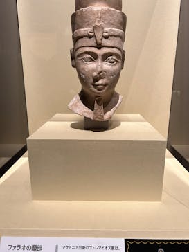 ブルックリン博物館所蔵　特別展　古代エジプト（豊田会場）に投稿された画像（2025/8/17）