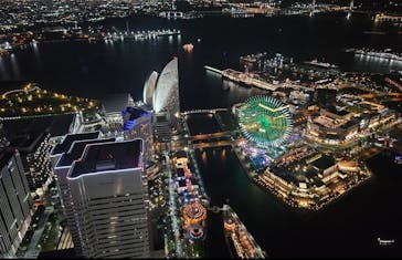 横浜ランドマークタワー 69階展望フロア スカイガーデンに投稿された画像（2025/8/17）