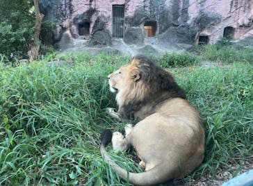 名古屋市東山動植物園に投稿された画像（2025/8/17）