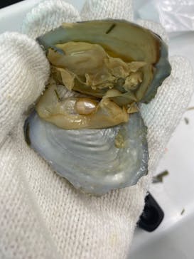 栃木県なかがわ水遊園に投稿された画像（2025/8/17）