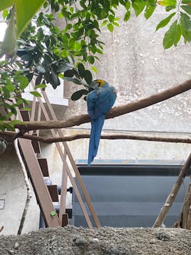 栃木県なかがわ水遊園に投稿された画像（2025/8/17）