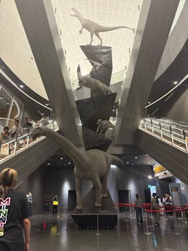 福井県立恐竜博物館に投稿された画像（2025/8/17）
