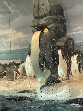 名古屋港水族館に投稿された画像（2025/8/17）