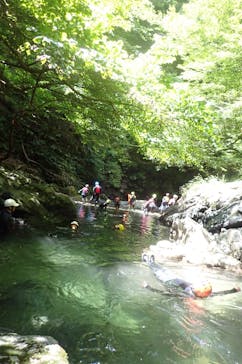 自然派企画に投稿された画像（2025/8/17）