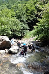 自然派企画に投稿された画像（2025/8/17）