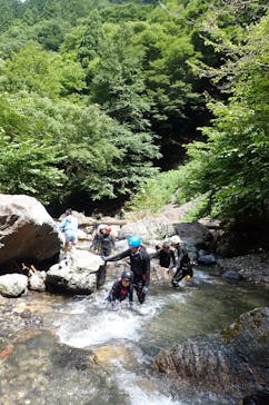 自然派企画に投稿された画像（2025/8/17）