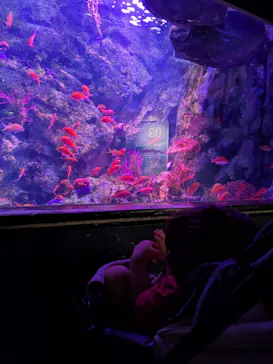 仙台うみの杜水族館に投稿された画像（2025/8/17）