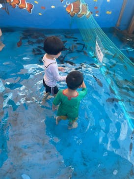 越前松島水族館に投稿された画像（2025/8/17）