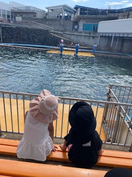 越前松島水族館に投稿された画像（2025/8/17）