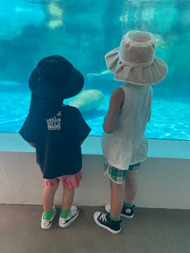 越前松島水族館に投稿された画像（2025/8/17）