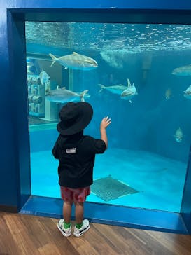 越前松島水族館に投稿された画像（2025/8/17）