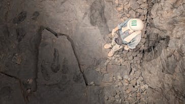 福井県立恐竜博物館に投稿された画像（2025/8/17）