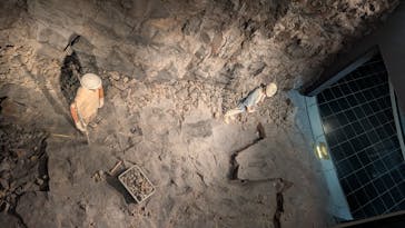 福井県立恐竜博物館に投稿された画像（2025/8/17）