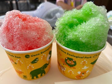 恩賜上野動物園に投稿された画像（2025/8/17）