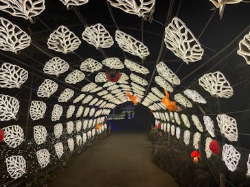 伊豆高原グランイルミに投稿された画像（2025/8/17）