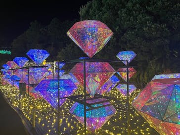 伊豆高原グランイルミに投稿された画像（2025/8/17）