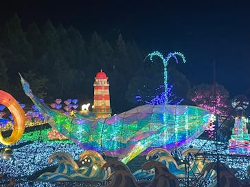 伊豆高原グランイルミに投稿された画像（2025/8/17）