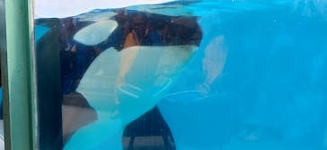 鴨川シーワールドに投稿された画像（2025/8/17）