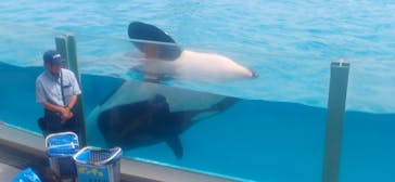 鴨川シーワールドに投稿された画像（2025/8/17）