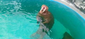 鴨川シーワールドに投稿された画像（2025/8/17）