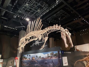 福井県立恐竜博物館に投稿された画像（2025/8/17）
