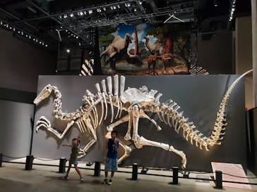 福井県立恐竜博物館に投稿された画像（2025/8/17）