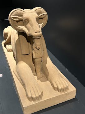 MYSTERY OF TUTANKHAMEN 体感型古代エジプト展に投稿された画像（2025/8/17）