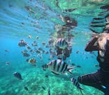 沖縄マリンサービス碧に投稿された画像（2025/8/17）