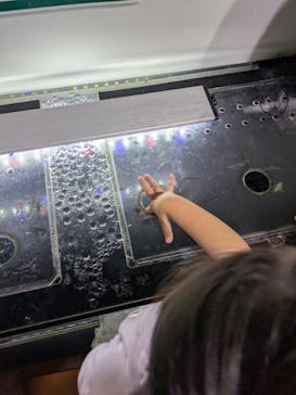 カワスイ 川崎⽔族館に投稿された画像（2025/8/17）