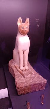 ACN ラムセス大王展 ファラオたちの黄金に投稿された画像（2025/8/17）