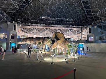 京都 大恐竜博 ～動く！吠える！暴れる！大迫力の巨大恐竜がやってくる～に投稿された画像（2025/8/17）