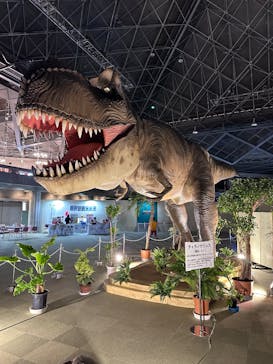 京都 大恐竜博 ～動く！吠える！暴れる！大迫力の巨大恐竜がやってくる～に投稿された画像（2025/8/17）