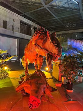 京都 大恐竜博 ～動く！吠える！暴れる！大迫力の巨大恐竜がやってくる～に投稿された画像（2025/8/17）