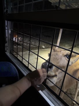 那須サファリパークに投稿された画像（2025/8/17）