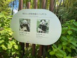 恩賜上野動物園に投稿された画像（2025/8/17）