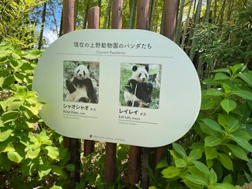 恩賜上野動物園に投稿された画像（2025/8/17）