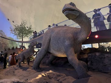 福井県立恐竜博物館に投稿された画像（2025/8/17）