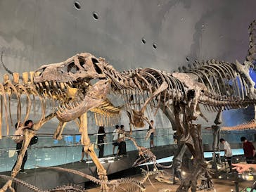 福井県立恐竜博物館に投稿された画像（2025/8/17）