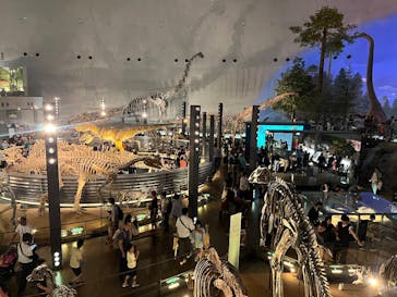 福井県立恐竜博物館に投稿された画像（2025/8/17）