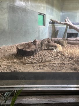 名古屋市東山動植物園に投稿された画像（2025/8/17）