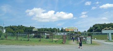 岩手サファリパークに投稿された画像（2025/8/17）